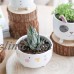 Ceramic Porcelain Animals Vase Cute Tabletop Modern High Quality Home Decoration   302766889761